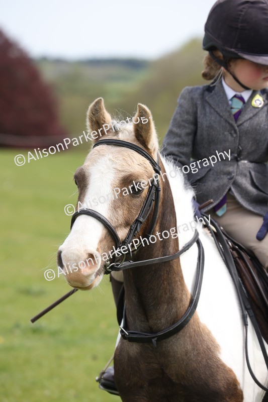 20260426-3053 - Class 33 - Best Pony 14.2hh and Under