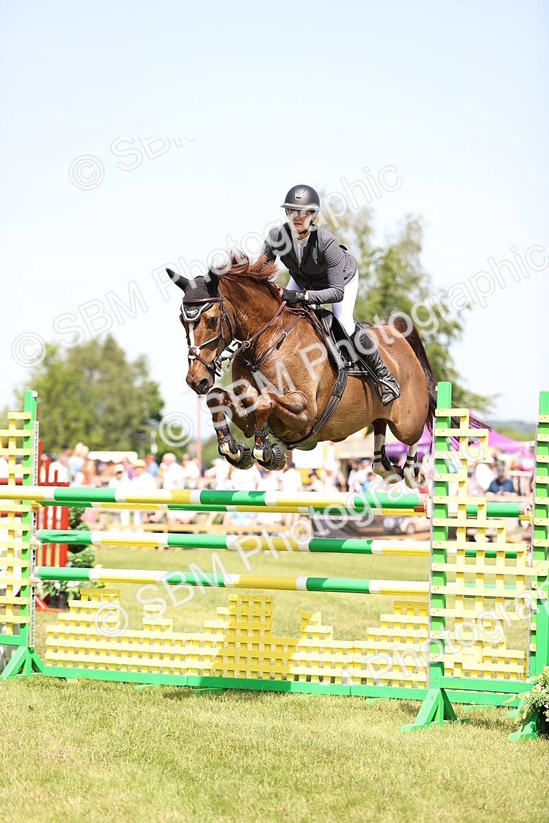 SBM_04009 - Class 201 - British Horse Feedds Speedi Beet HOYS Grade C