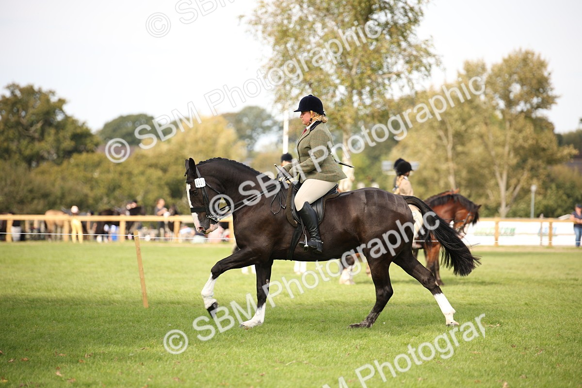 SBM_70398 - S66 - Hunter Ridden