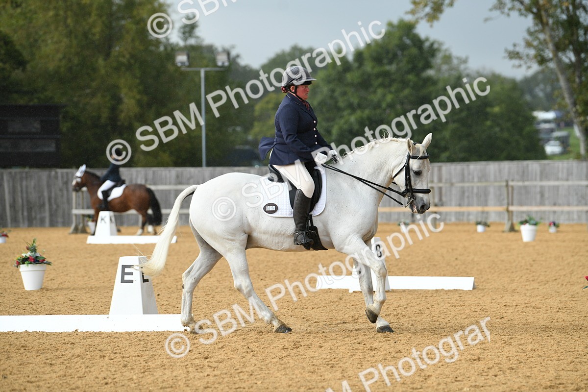 SBM_11125 - D28 Elementary Taster Elementary 42