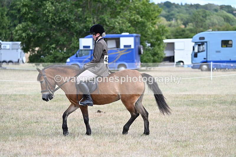 WJ7_5784 - Class 13 Ridden Veterans
