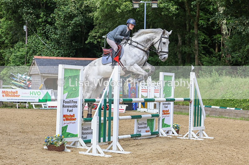 3E7A7558 - Class 9: Senior Foxhunter/1.20 open