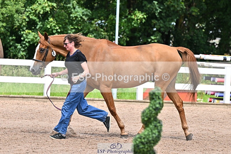 240718A-105320-01861 - Trot Up 1pm to 2pm