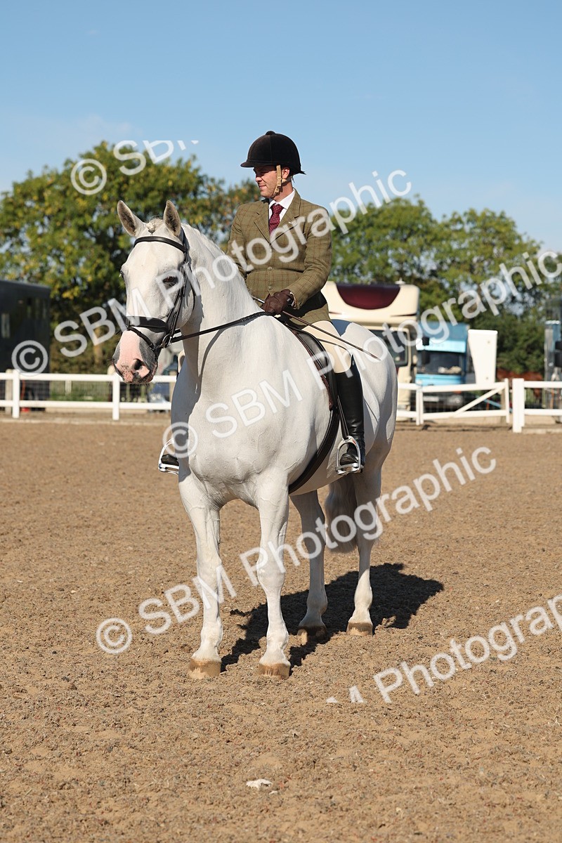 SBM_12235 - Class 303 - Ridden Pure Bred Horse Pony