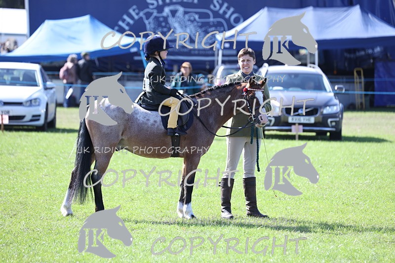 APP_3853 - Class 13 Lead rein