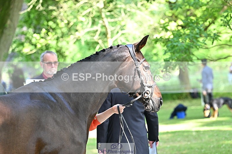 250521A-153521-00616 - B-319-Ali.Wilkes-JAZZ.ROOS