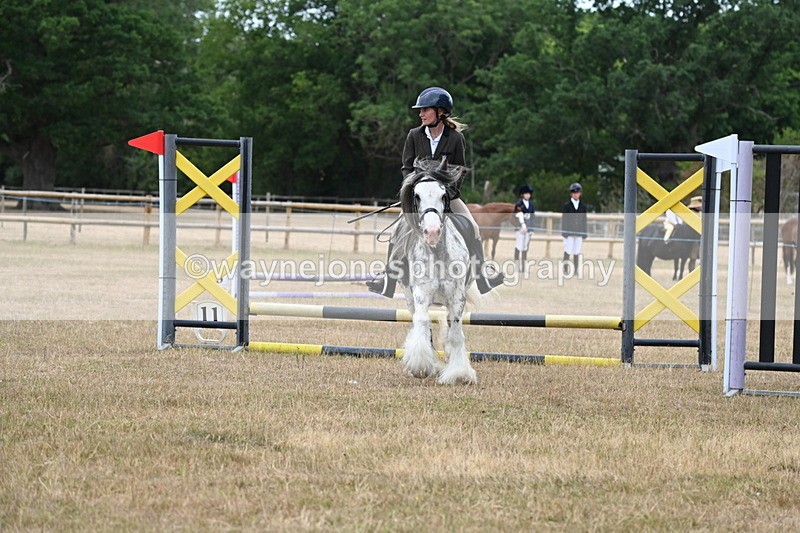 WJ6_9660 - Class 12 Minimus Jumping 45cm