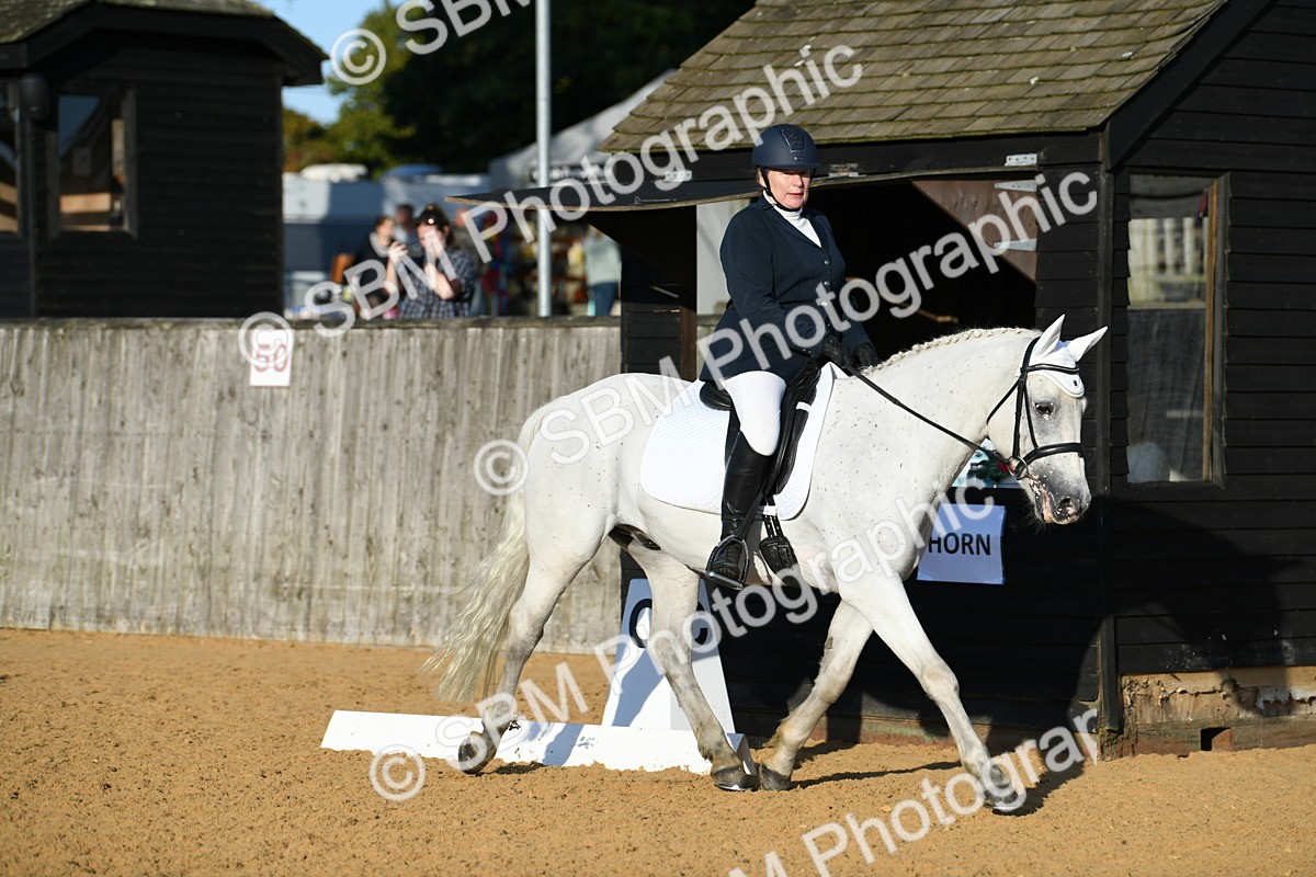 SBM_30808 - D16 - Small Tour Championship - Novice 28