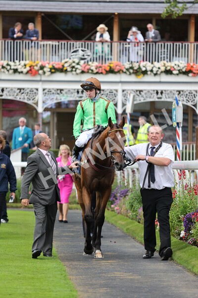 yr24092021r3-35 - Race 3 2.40pm WilliamHill.com Best Odds Guaranteed Stakes