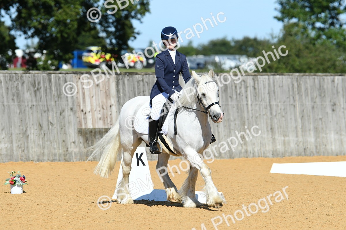 SBM_18098 - D4 - Small Tour Championship - Intro B