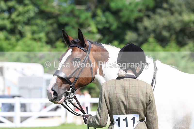 3E7A8743 - Class 5: Working Show Horse