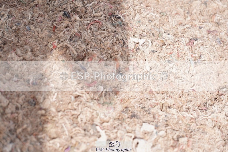 250511-102948-13285 - Cls 31 Snr Discovery and 1m Open