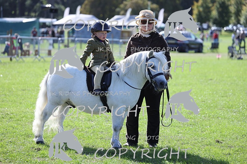 APP_3901 - Class 13 Lead rein