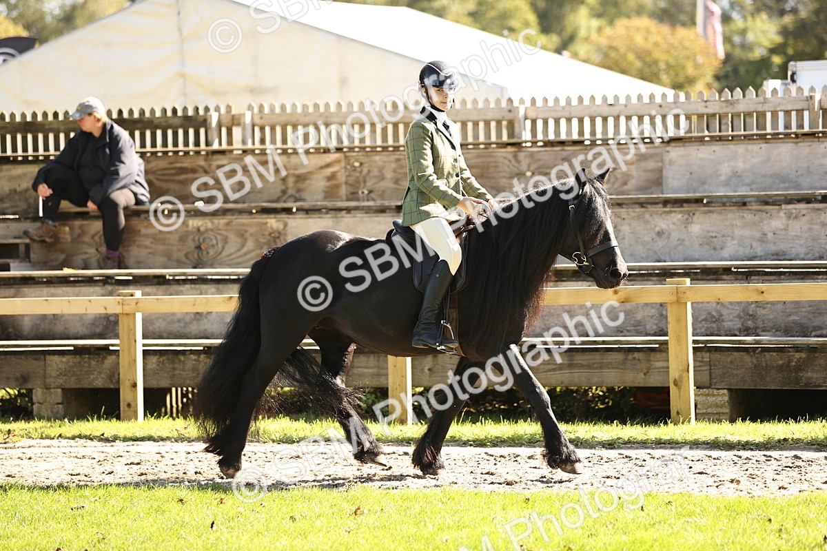 SBM_19077 - S3 - TSR Ridden Pony Showing