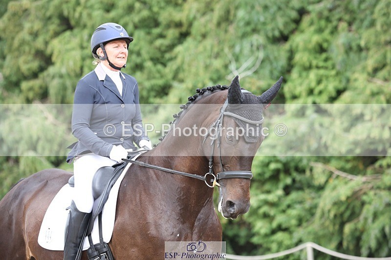 230812-152529-05132 - Cls 5 Novice Bronze 15.00 to End