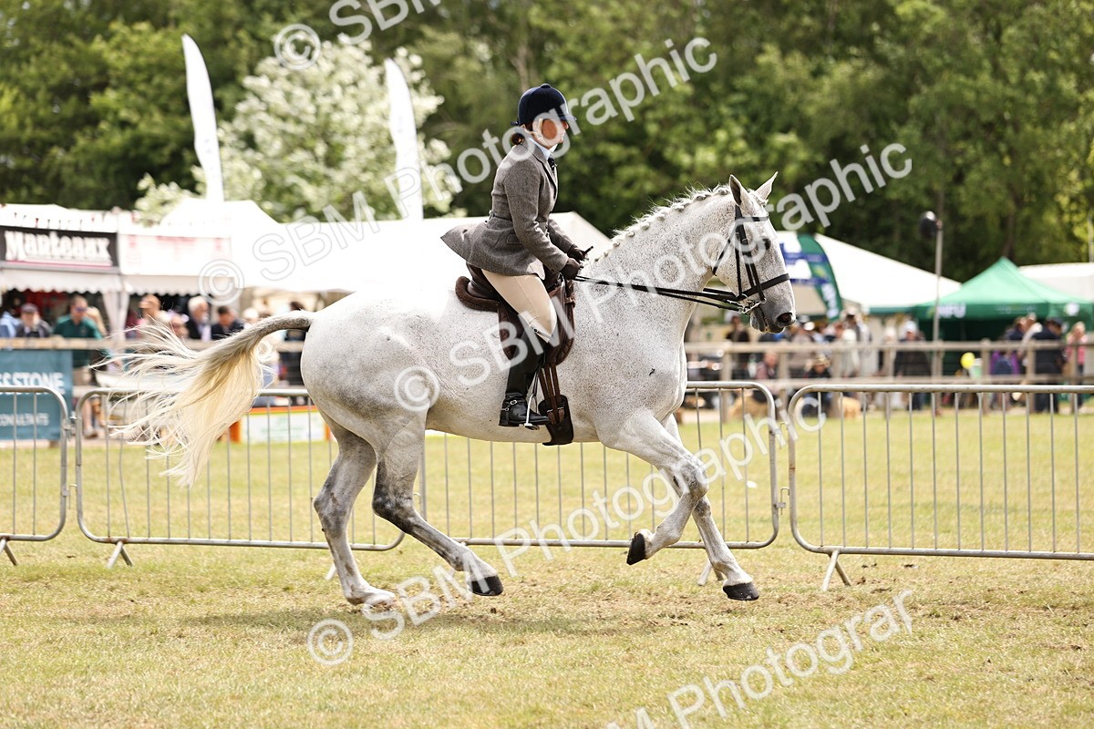 SBM_14664 - Class 88-89 - LIHS BSHA Rising Star of Ridden Hunter Type