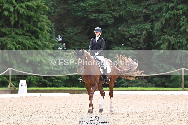 240809-121549-00709 - 185-Daisy.Hedges-Felicia.v