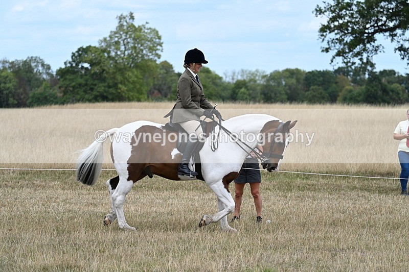 WJ7_4848 - Class 12 Ridden Cob