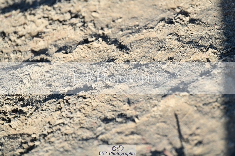 260222-153419-05623 - Class 22 1.30 + 1.40m