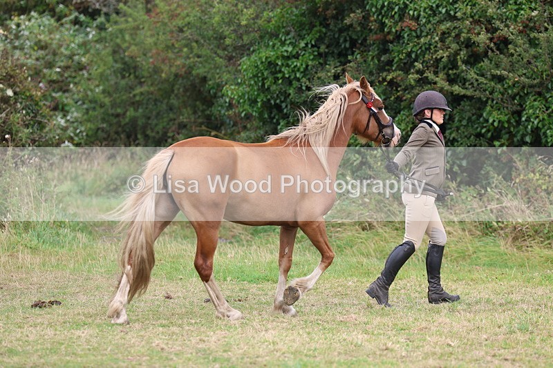 3E7A4526 - Class 16: Best Grass Kept