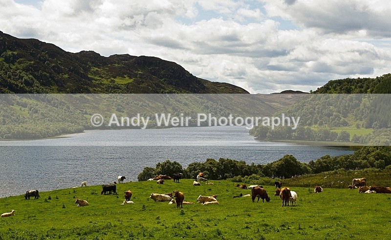 20090301-011 - Scotland