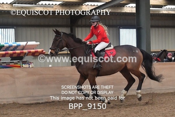 BPP_9150 - CLASS 3 50CM-70CM Pairs Show Jumping