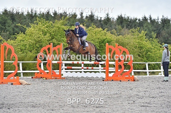 BPP_6275 - SUN CLASS 37 BR NOVICE/90CM