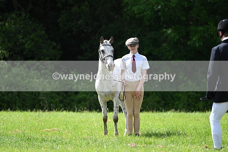 WJ7_1367 - Class 11 Condition & Turnout