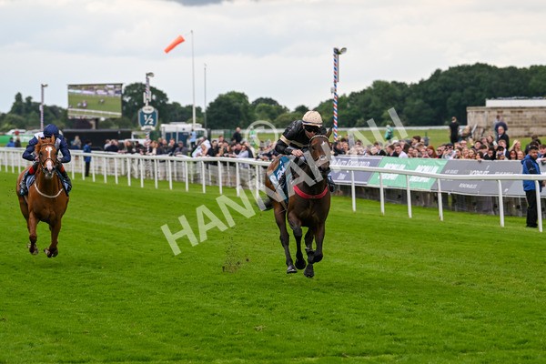 140624-Race 3-Alfa Kellenic-4312 - Race 3 3.00pm British EBF Supporting Racing With Pride Fillies' Handicap