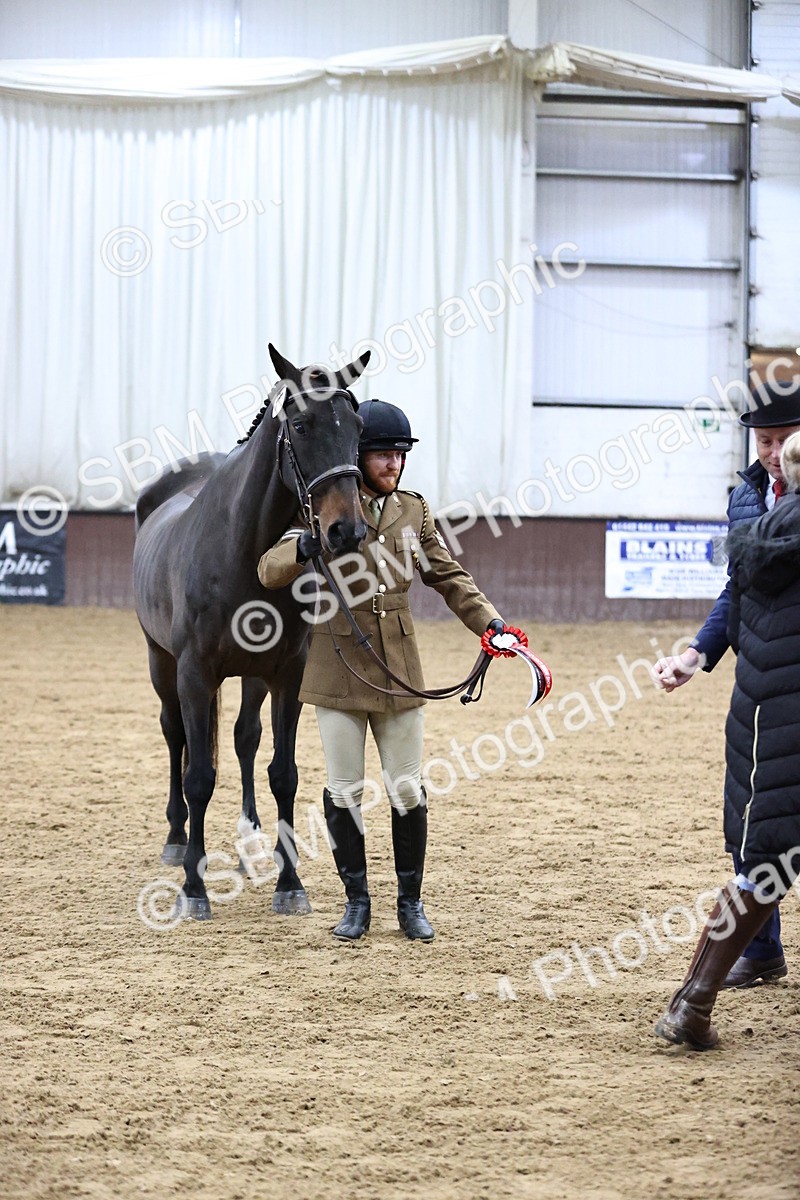 SBM_5215 - Class 39 - In Hand Gelding