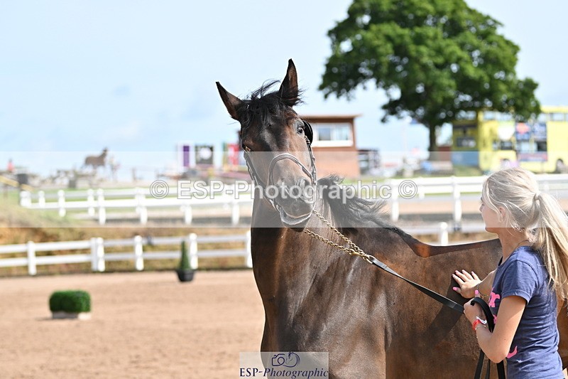 240717A-160341-03308 - Trot Up 4pm to 5pm