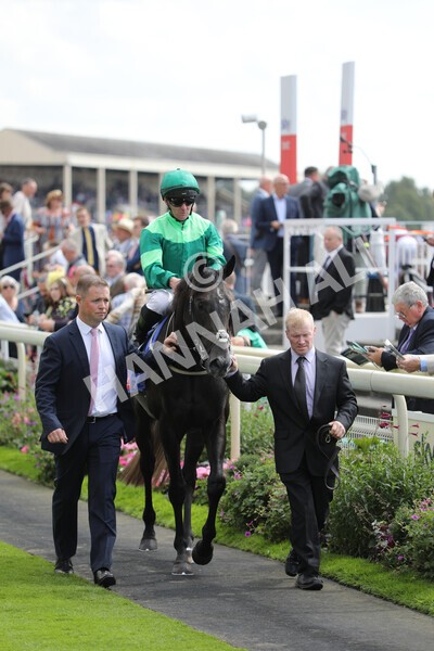 yr20082022r3-6 - Race 3 3.00pm Sky Bet City of York Stakes