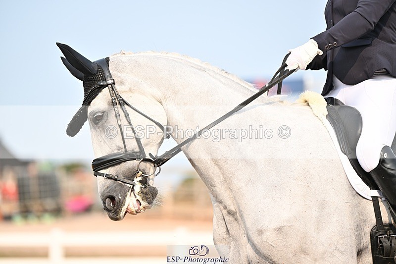 250816-163514-06415 - 122-Stacey.BlunnDiamond.Bobby