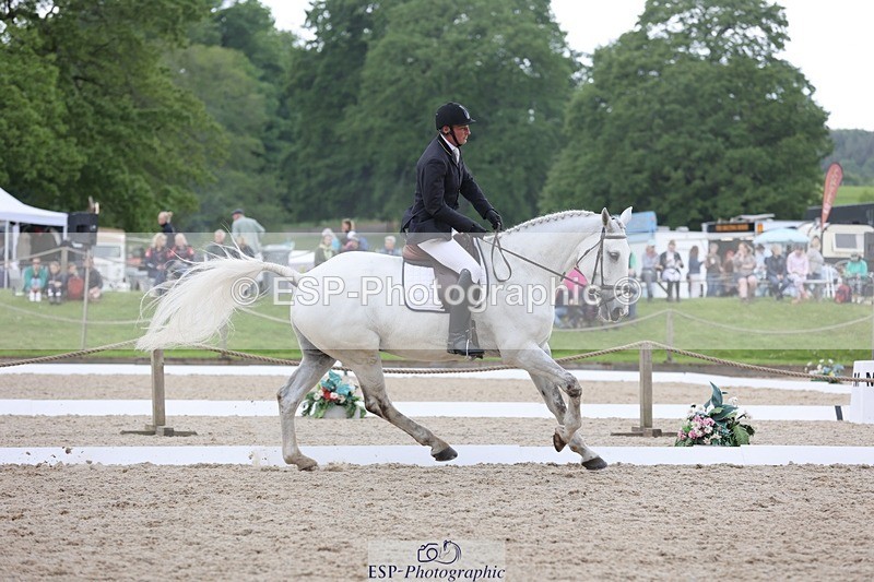 240524-144220-09799 - 285-CHF_BALLYTURN_BRILLIANT-Pascal_Van_moort