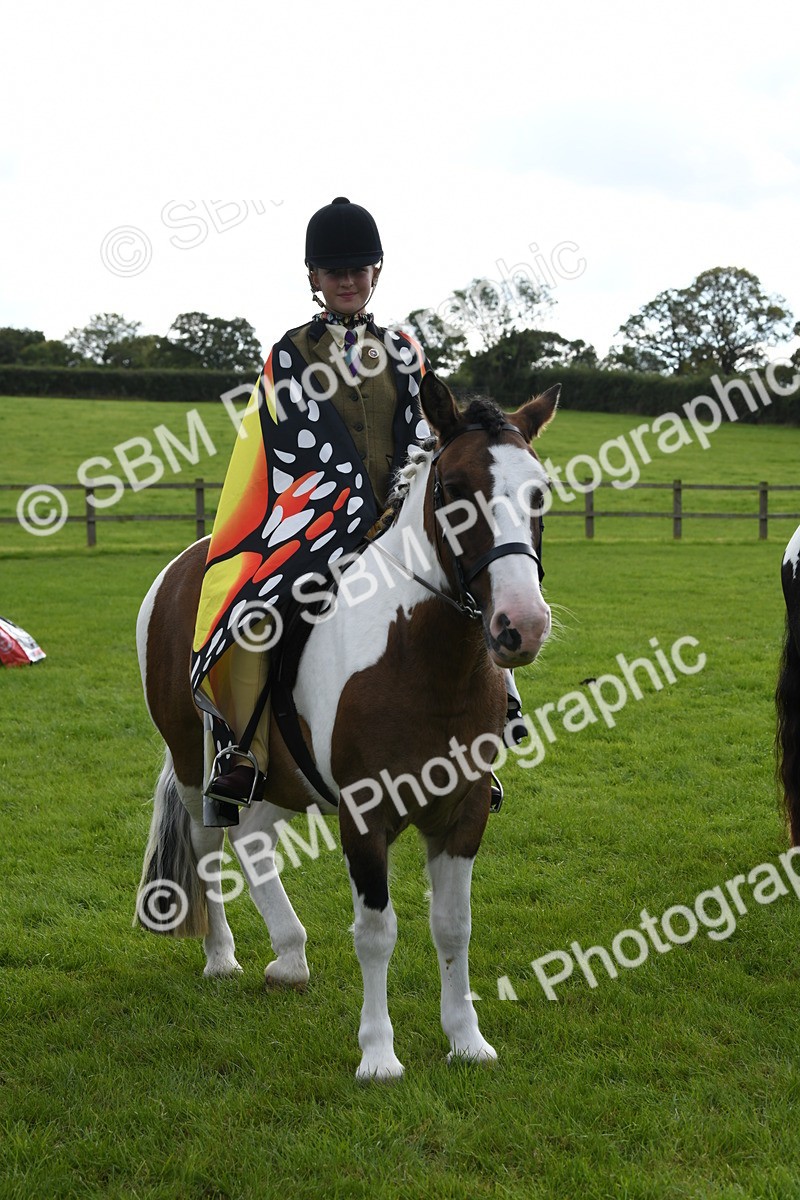 SBM_47231 - S12 - Family Horse & Pony