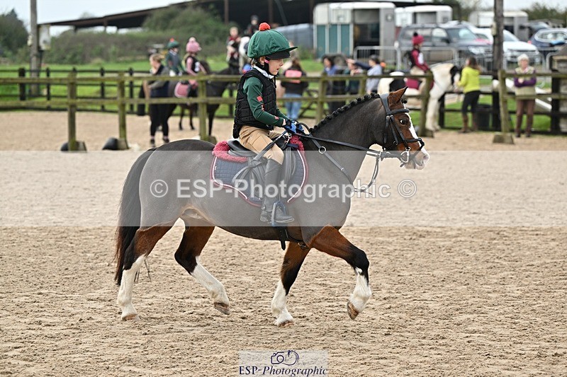 241110-114206-00500 - 50-55cm Arena Eventing