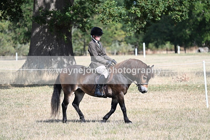 WJ7_2663 - Class 8 Ridden Tack & Turnout