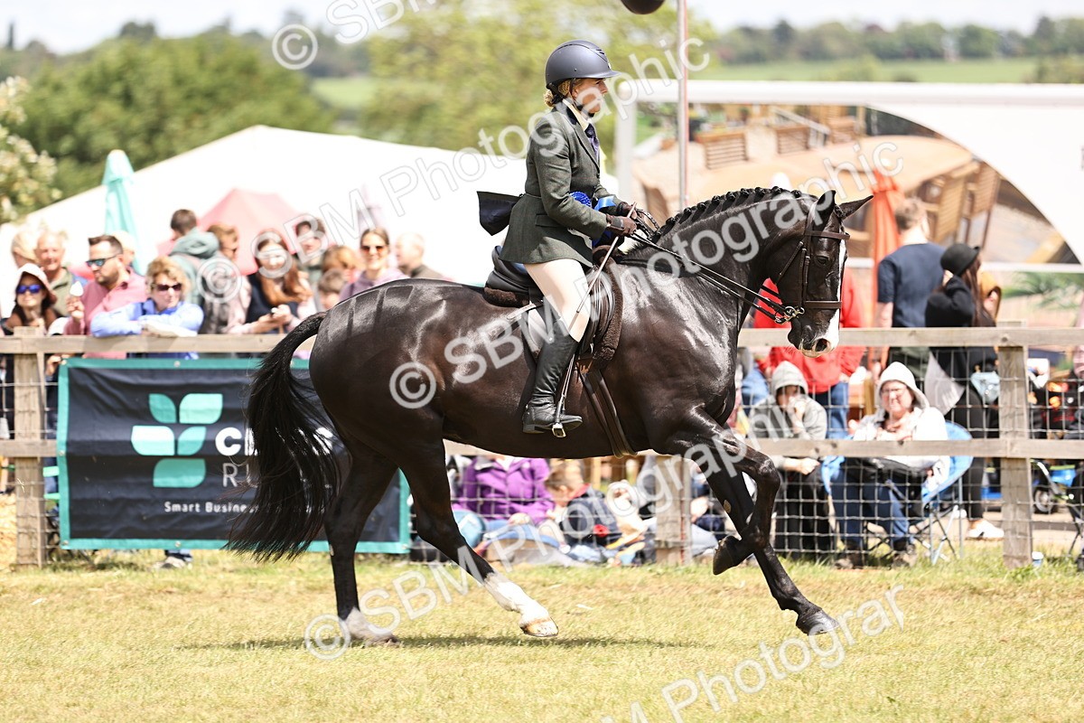 SBM_14798 - Class 88-89 - LIHS BSHA Rising Star of Ridden Hunter Type