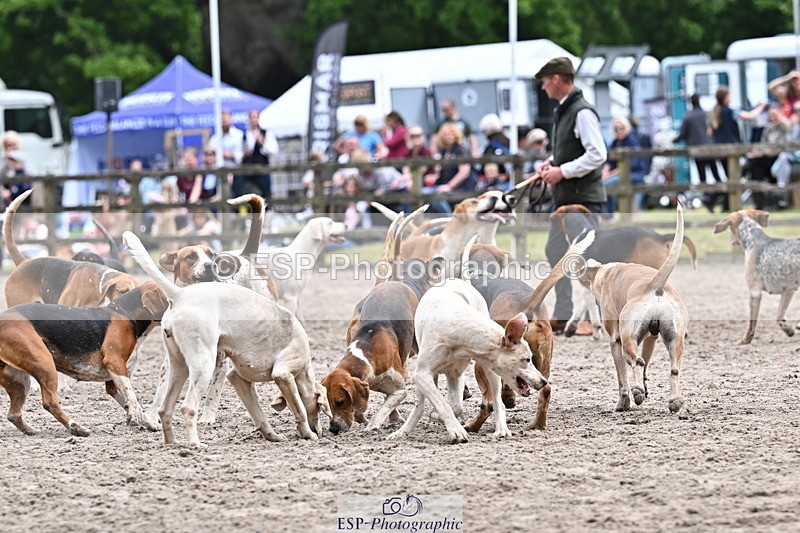 250524A-152331-12723 - East Devon Hounds