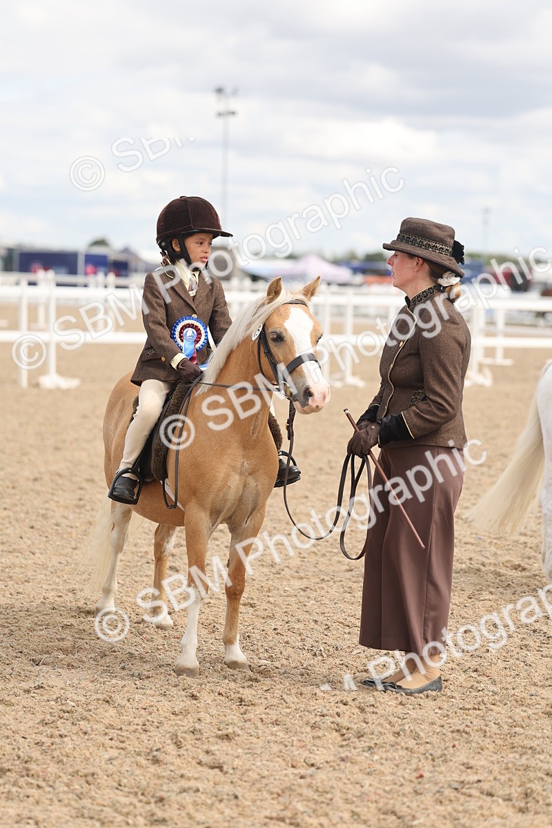 SBM_15835 - Class 309 - Lead Rein Pony
