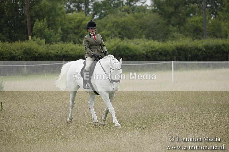 B230619-0716 - Bourne Valley Riding Club Summer Show 23/06/19