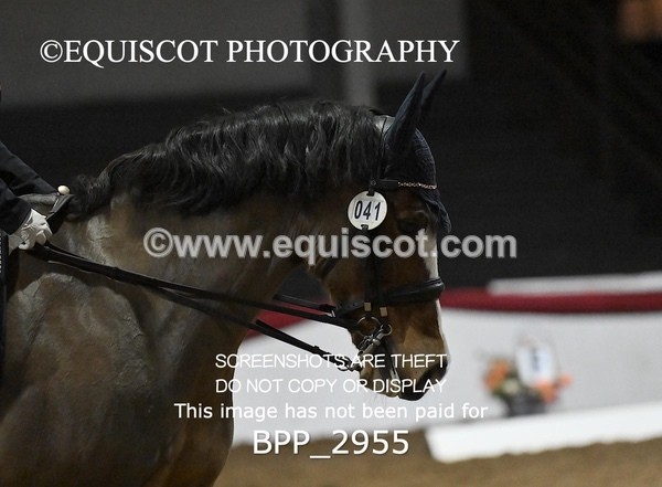 BPP_2955 - ELEM TEST 4