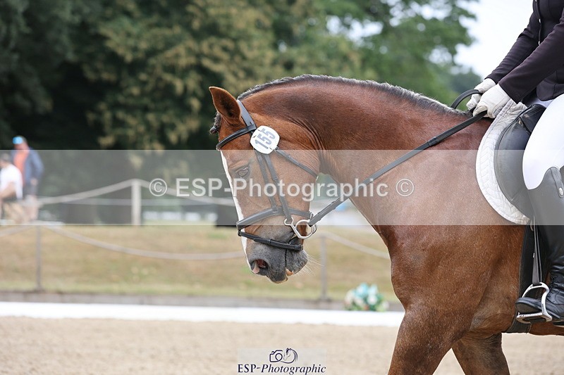 250718A-101952-00528 - 155-Charlotte.Radley-Brohedydd.Marian