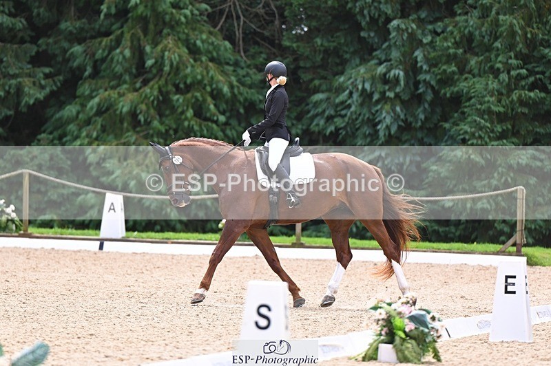 240809-121643-00720 - 185-Daisy.Hedges-Felicia.v