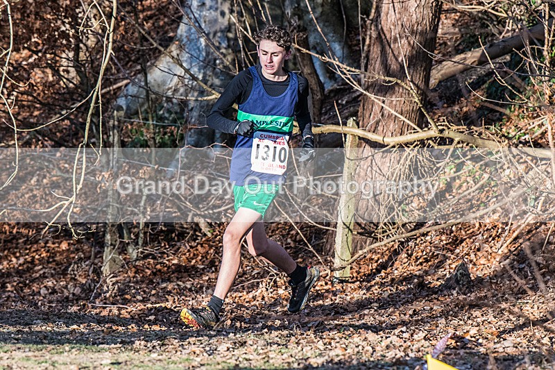 Cumbria XC-545 - Cumbria Cross Country Championships (Junior & Senior Races) Saturday 3rd January 2026