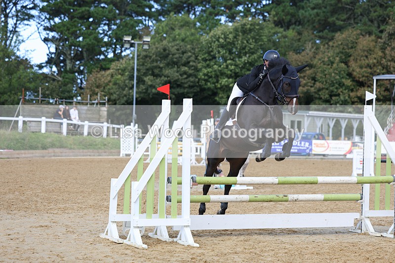 3E7A9210 - Class 9: Senior British Novice/90cm open
