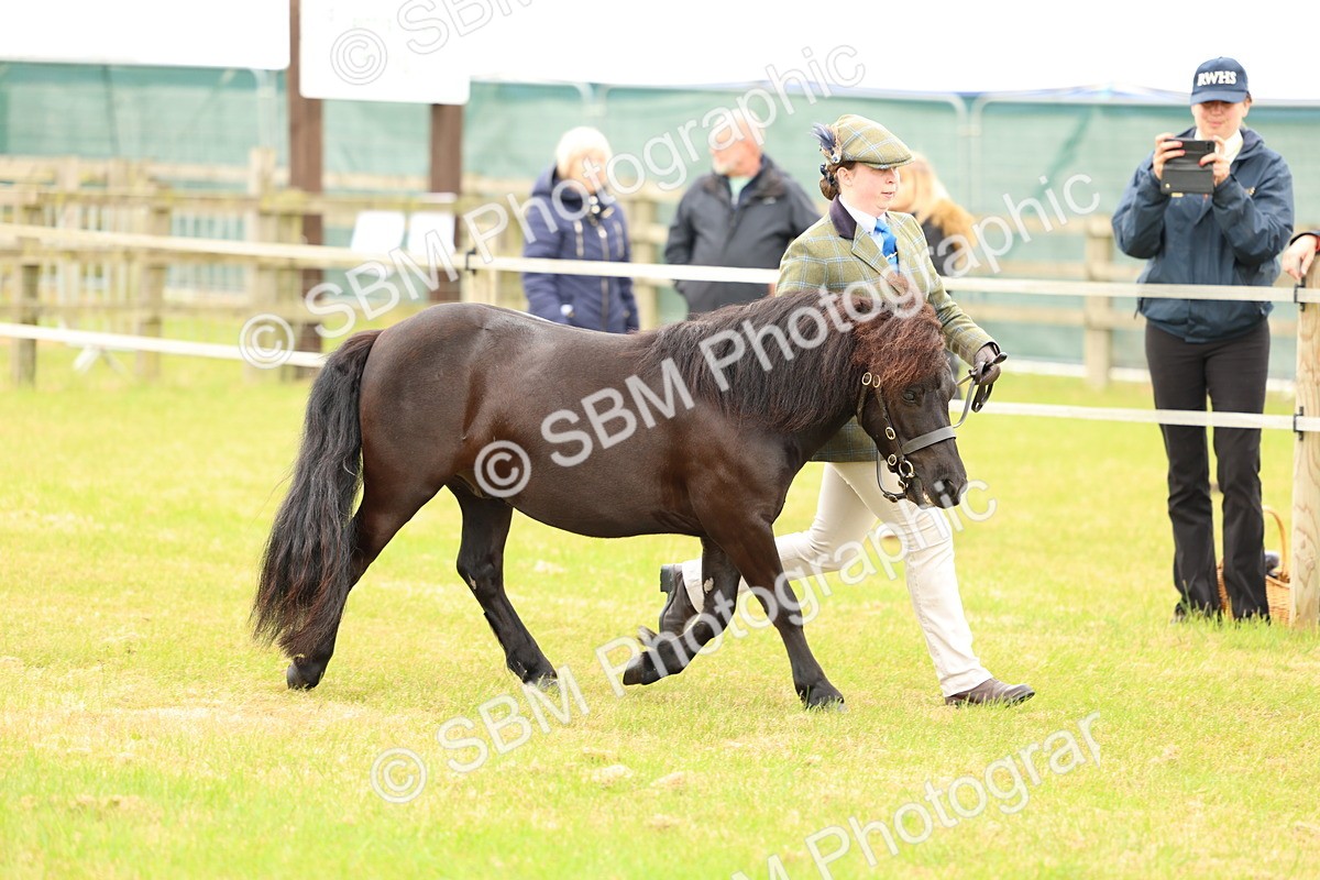 SBM_03509 - Class 58-67 - M&M Non Welsh Pony In hand