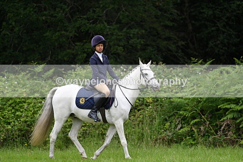 WJ7_3817 - Class 14A Handsome Gelding