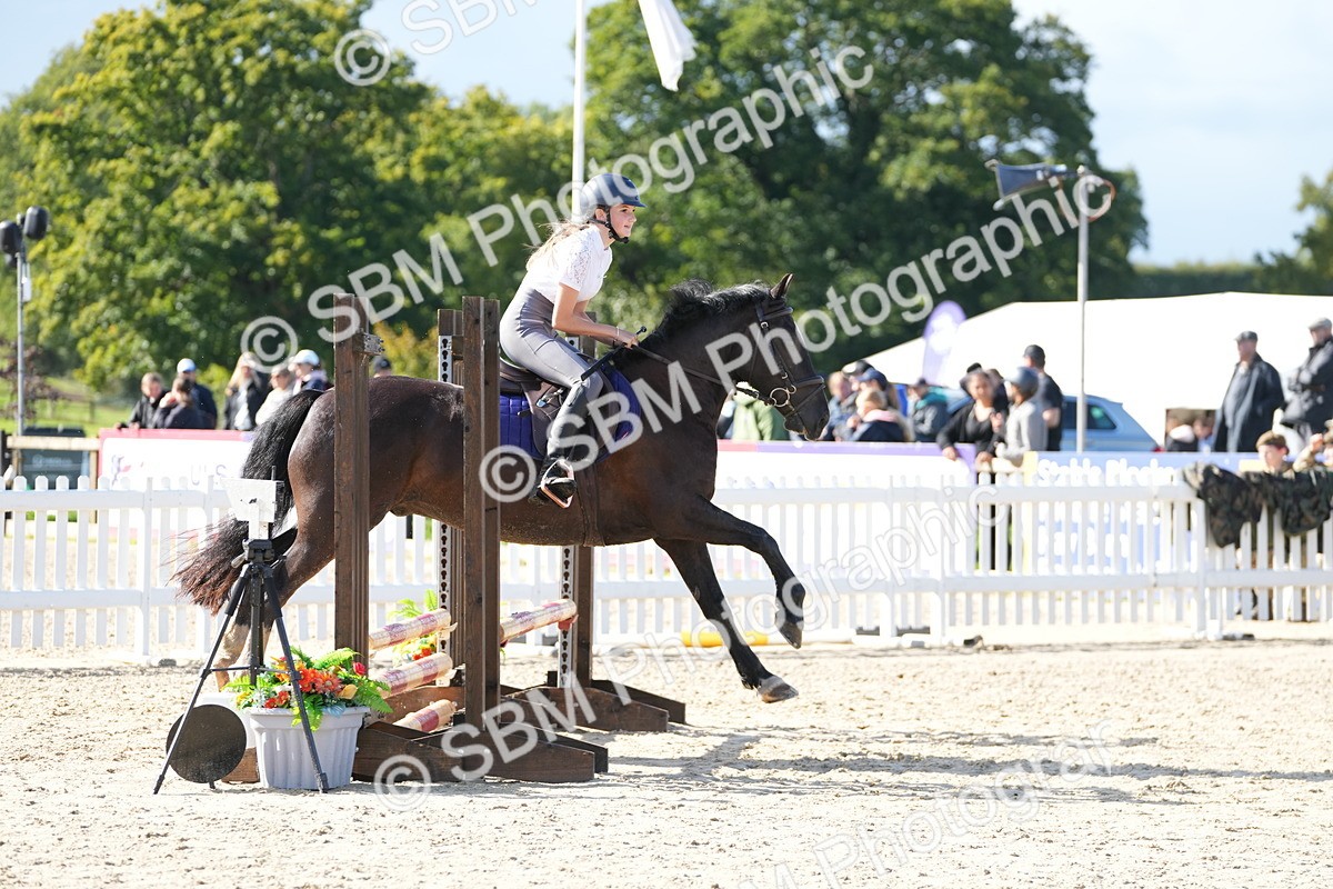 SBM_38206 - J6 - Junior Pony 55cm Championship