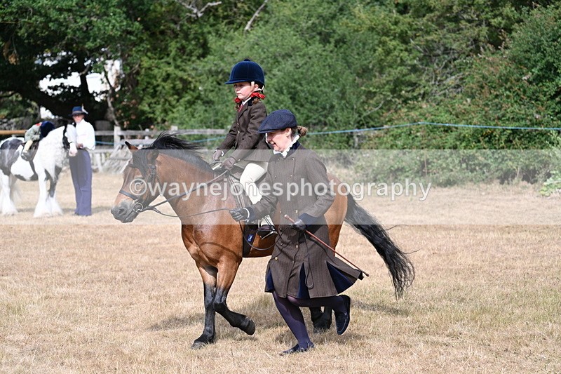 WJ7_6512 - Class 1 Lead Rein Pony